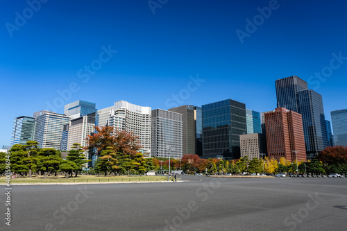 東京都 丸の内 高層ビル群 秋 © 健太 上田