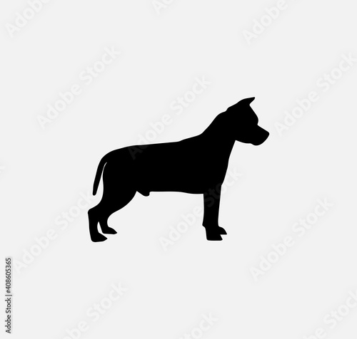 silhouette of a pit bull. vector illustration