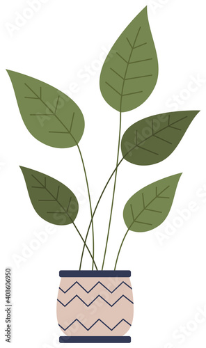 Pot with houseplant isolated at white background. Vector flowerpot of decorative green plant with long leaves in ceramic pot. Indoor plant concept of domestic greenery. Icon for home interior plant