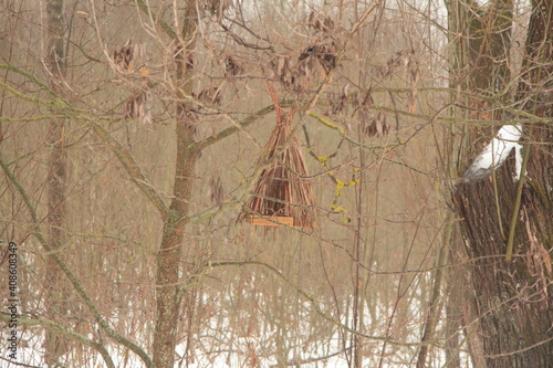 Bird feeder in the forest