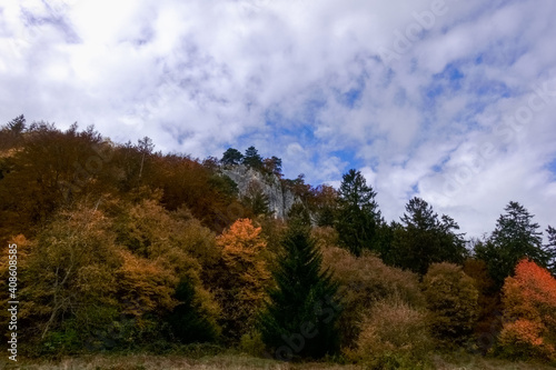 colorful forest on a mountain while hiking in autumn