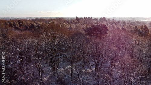 Sun set over forest wood land scene, aerial drone