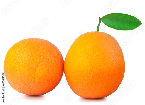 Oranges isolated on the white background