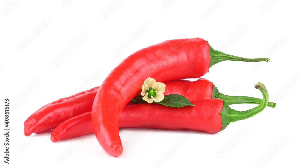 Pepper bitter isolated on a white background
