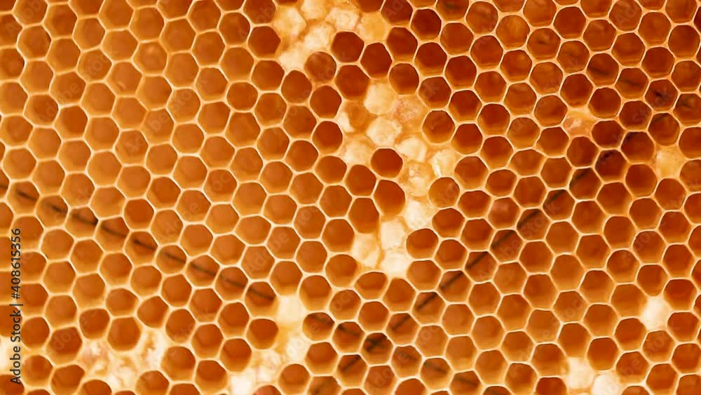 Beautiful honeycomb with a close-up with a circular rotation. Beekeeping, wholesome food for health Beautiful honeycomb with a close-up with a circular rotation. Beekeeping, wholesome food for health