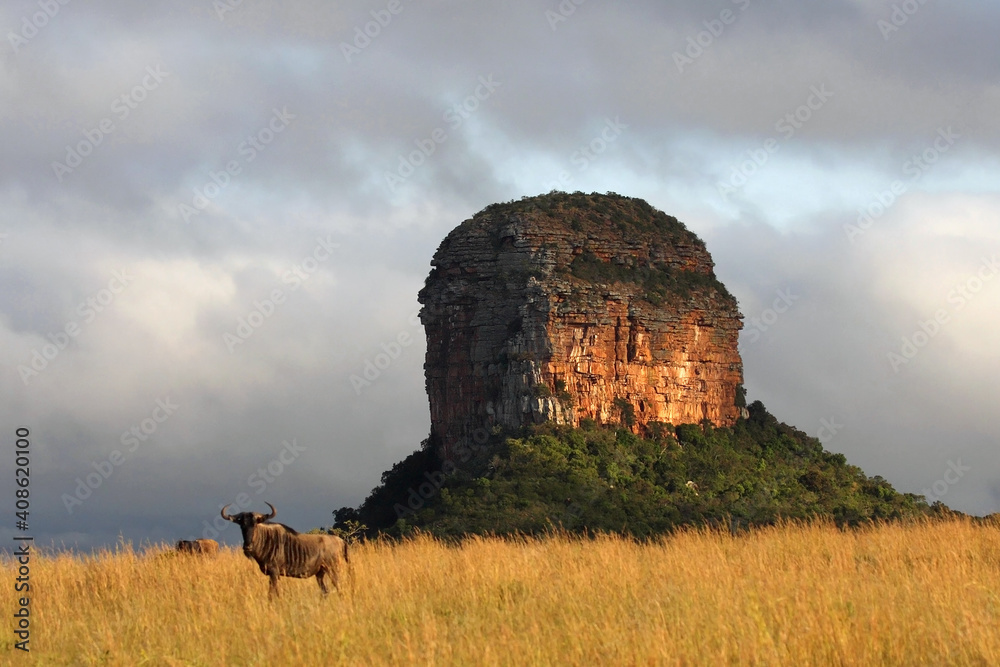 Rock in the northern part of south Africa.A typical rock in a national ...