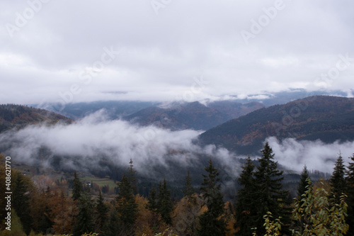 Autumn landscape of forest trees and clouds in the fog during a day hike in the Carpathian mountains © RS