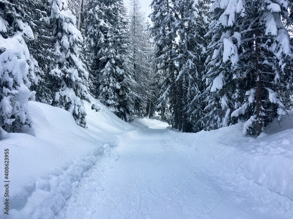 Winter landscape of the Schamserberg and Piz Beverin nature park.