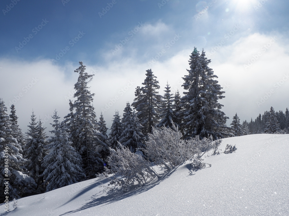 Winter landscape of the Schamserberg and Piz Beverin nature park.