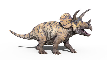 Fotobehang Dinosaurus Brullende triceratops dinosaurus witte achtergrond 3D  © freestyle_images