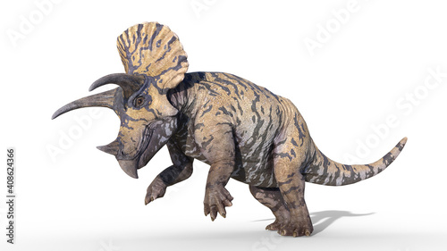 Triceratops, dinosaur reptile prancing, prehistoric Jurassic animal isolated on white background, 3D illustration © freestyle_images