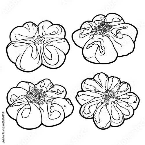 Buns hand drawn vector doodles set.