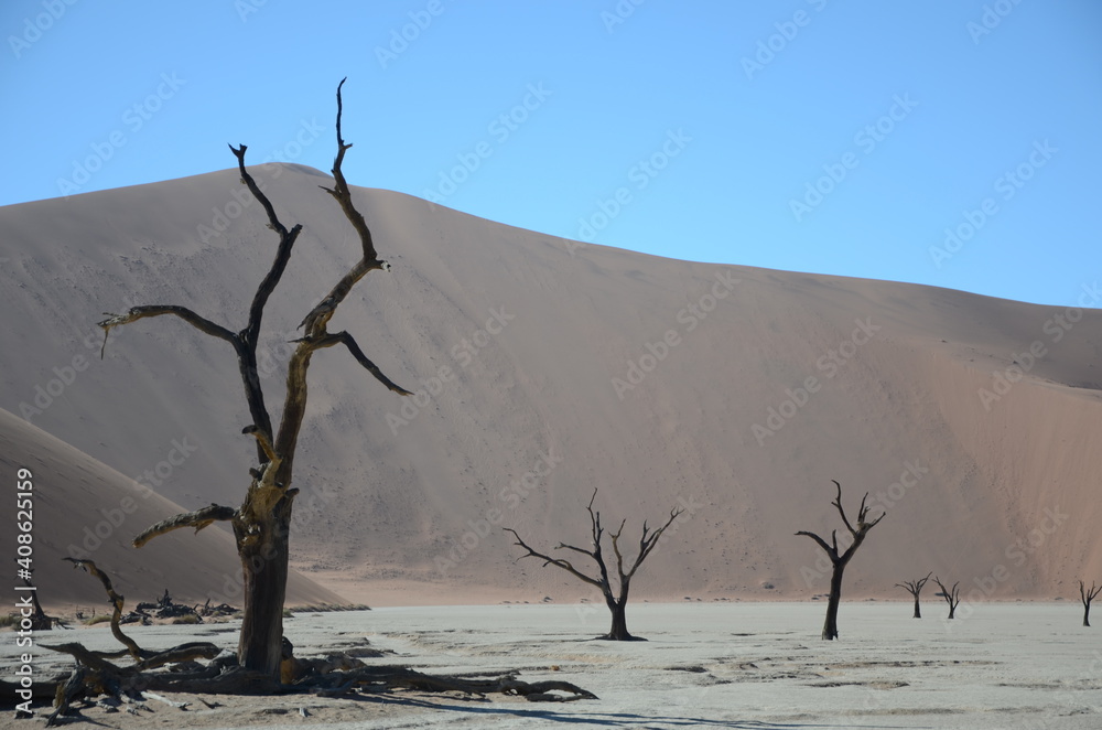 Salz-To-Pfanne im Sossusvlei in der Namib Salz-To-Pfanne im Sossusvlei in der Namib