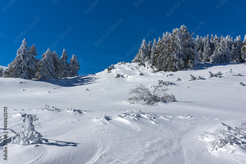 Fototapeta premium Winter view of Vitosha Mountain, Sofia City Region, Bulgaria