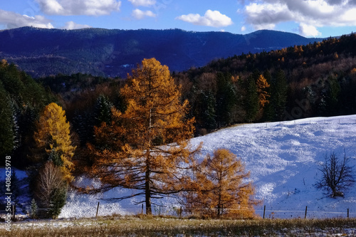 colorful trees and the first snow in autumn while hiking