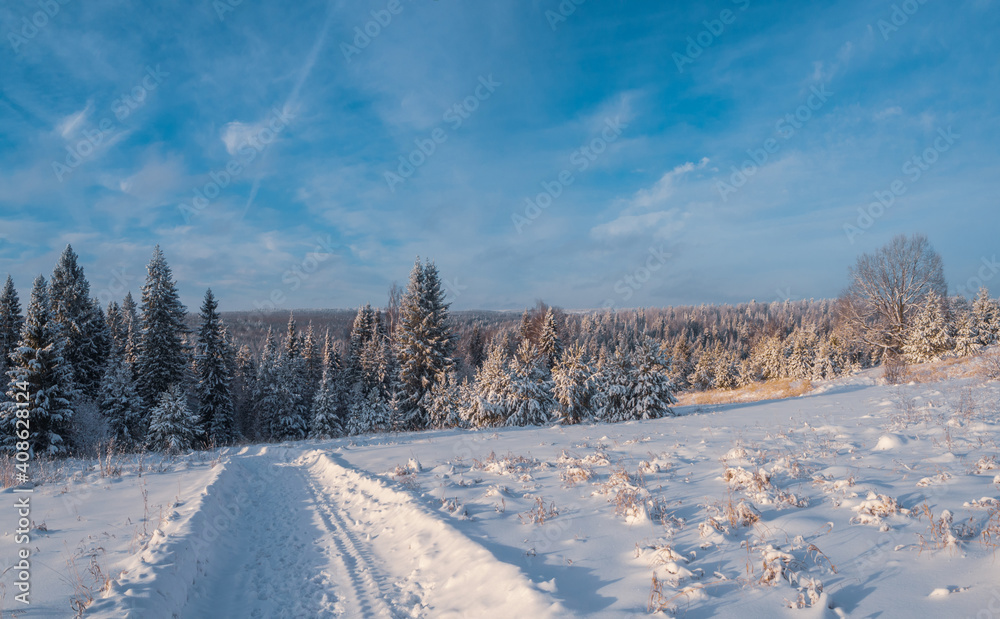 Snowy road at  winter Stone Hill park in frosty sunny evening. Winter country road with fir forest in the rays of cold winter Sun.