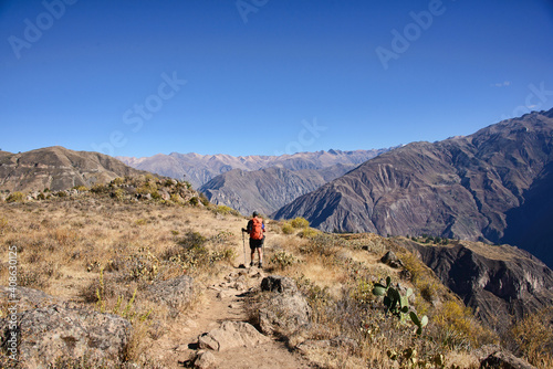 Trekking into the immense Colca Canyon, Cabanaconde, Peru © raquelm.