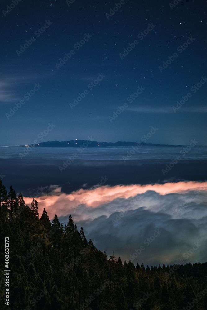 Night in a forest with clouds and stars