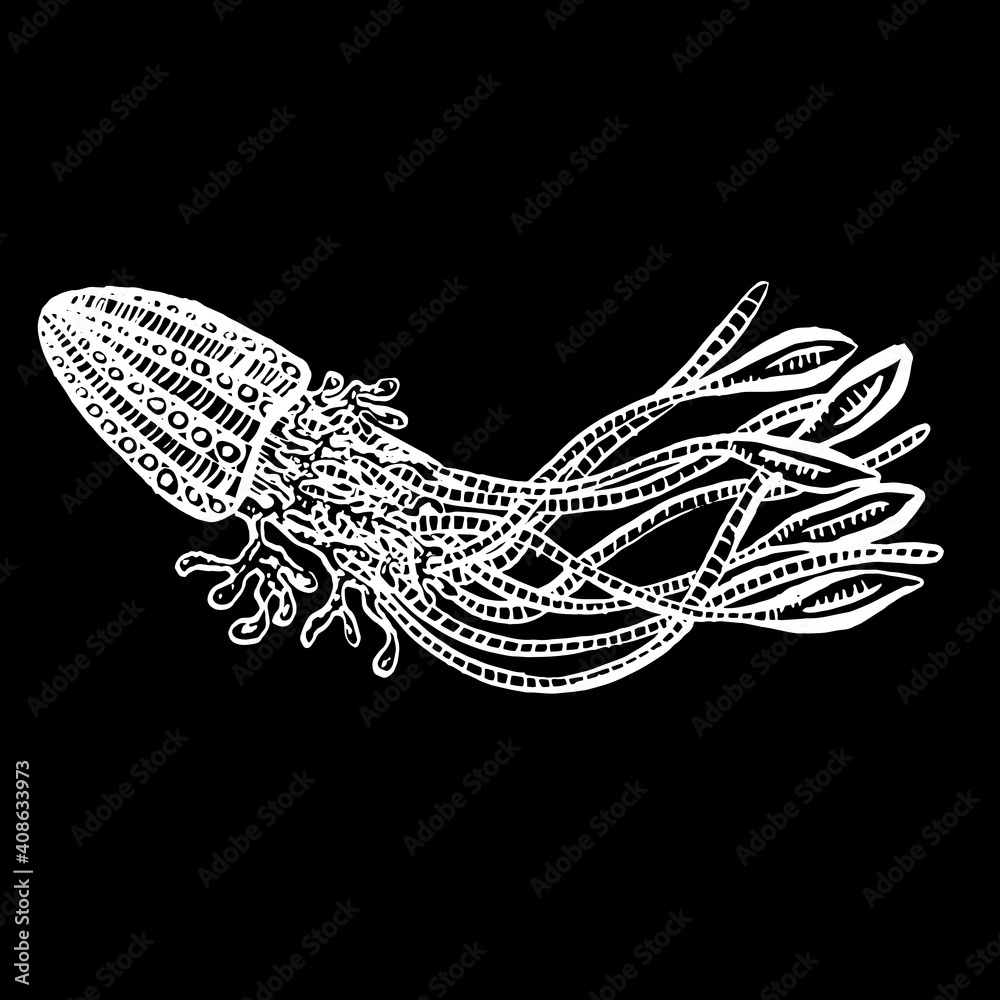 Obraz premium Line Art Cartoon Jellyfish Octopus Deep Sea Creatures Vector
