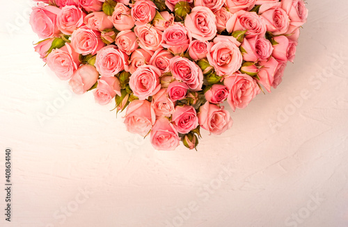 Pink roses on a light background