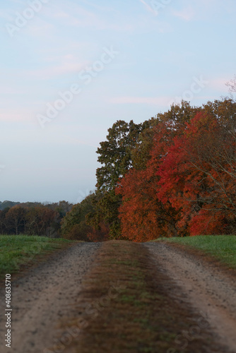 road in autumn