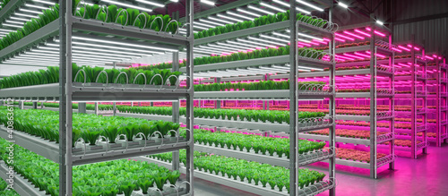 Hydroponic indoor vegetable plant factory in exhibition space warehouse. Interior of the farm hydroponics. Green salad farm in hydroponics. Lettuce Roman with led lightning. Concrete floor. 3D render photo