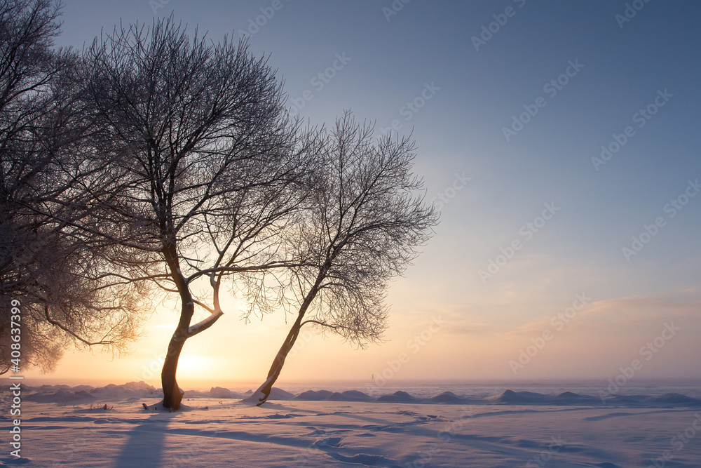Winter nature landscape. Winter sunset. Snowy scenery in sunlight. Amazing hoarfrost on trees illuminated by sunbeams