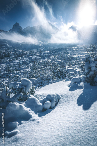 Fototapeta Naklejka Na Ścianę i Meble -  Hala Gąsienicowa - Tatry Polskie w zimie