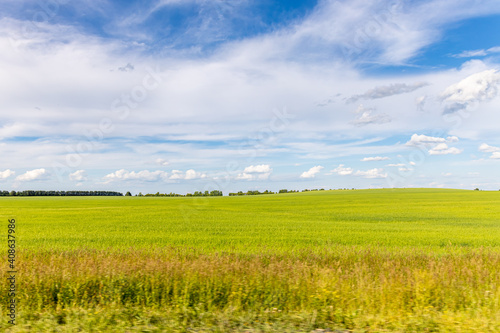 Beautiful view of green and yellow fields with white fog and trees is in summer in the morning