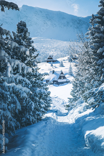 Fototapeta Naklejka Na Ścianę i Meble -  Hala Gąsienicowa - Tatry Polskie w zimie