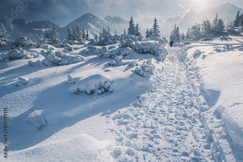 Fototapeta Naklejka Na Ścianę i Meble -  Hala Gąsienicowa - Tatry Polskie w zimie