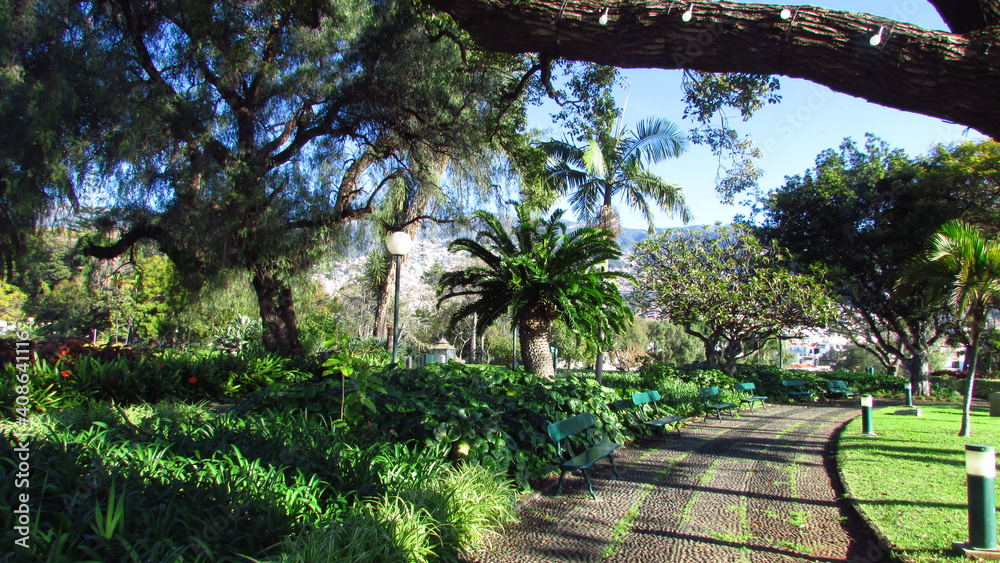 Fototapeta premium garden