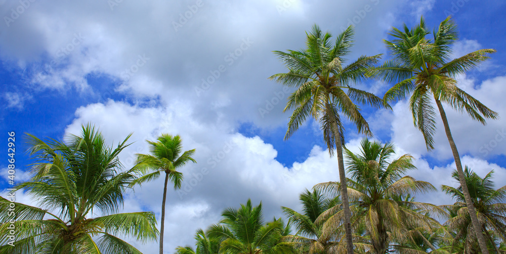 Palm trees at tropical beach with blue clouds sky .Travel background.