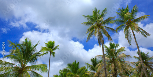 Palm trees at tropical beach with blue clouds sky .Travel background.