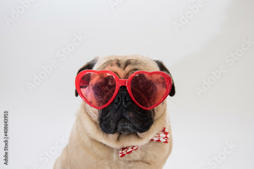 Cute pug dog wearing red heart shaped glasses and a bow tie 