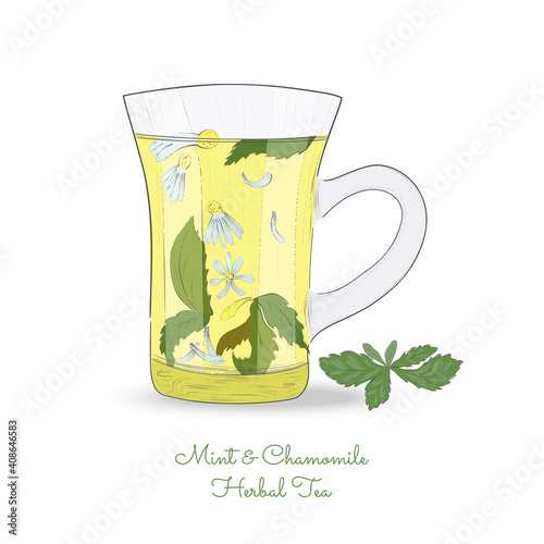 Hand Drawn Isolated Glass Cup with Herbal Tea