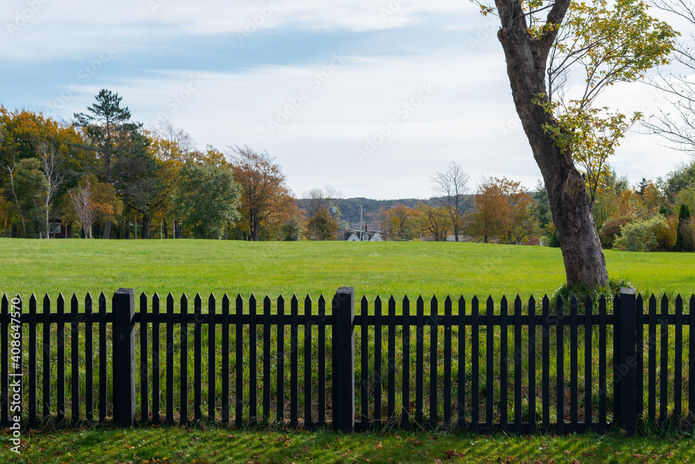 A black wooden picket fence with green grass, large trees and lush shrubs in a garden. The summer scene is vibrant and colorful. The sun is shining on the dark palings giving a warm glow to the wood