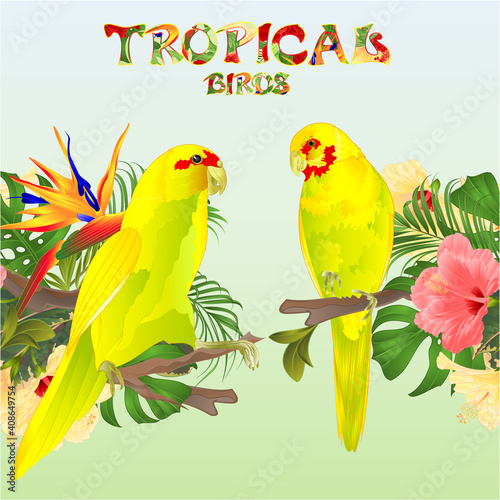 Tropical  seamless border  tropical birds parots yellow Indian Ringneck alexander and Strelitzia  and  pink and yellow hibiscus palm,philodendron and ficus watercolor vintage vector illustration