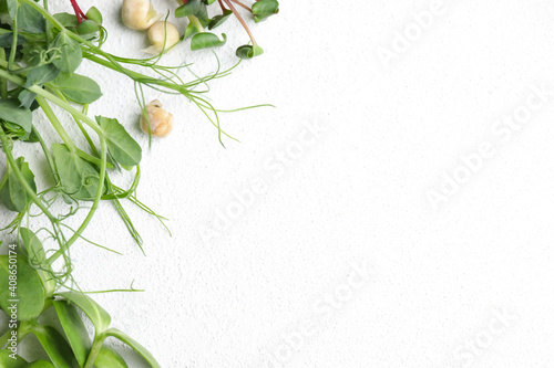 Different microgreens on white table  flat lay. Space for text