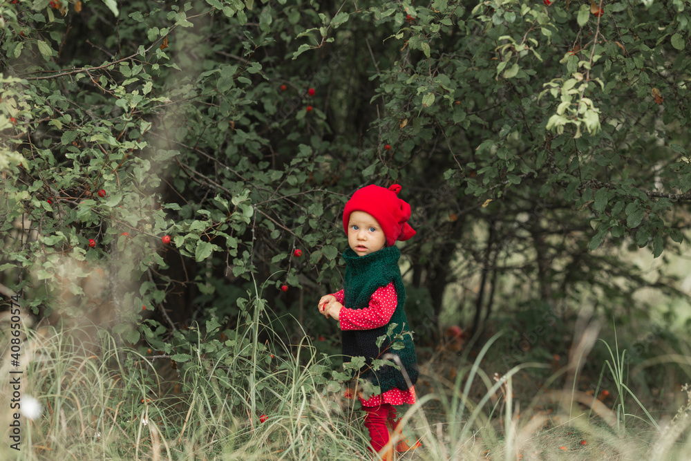 a girl in red and green clothes walks through an apple orchard with red small apples
