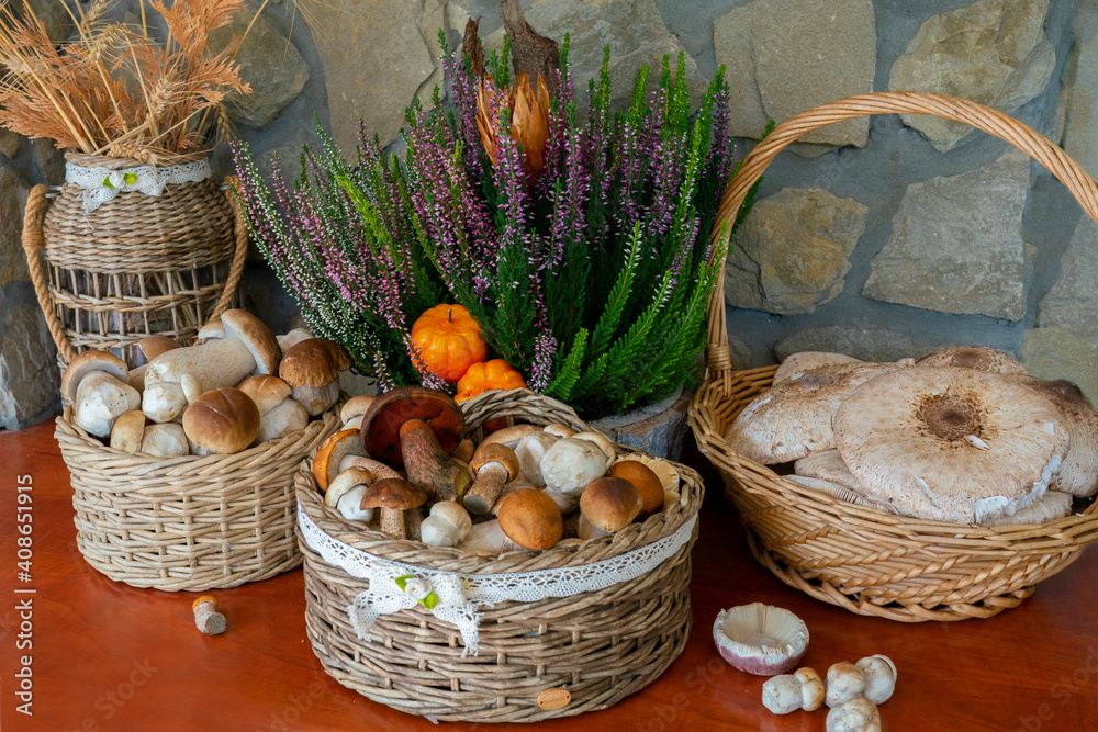 Mushrooms still life  photography of wicker basket with edible mushrooms