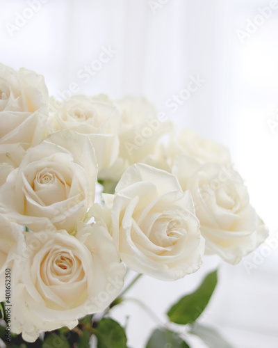 Fresh white roses  wedding  and holiday arrangements. Valentine s Day and holiday background.