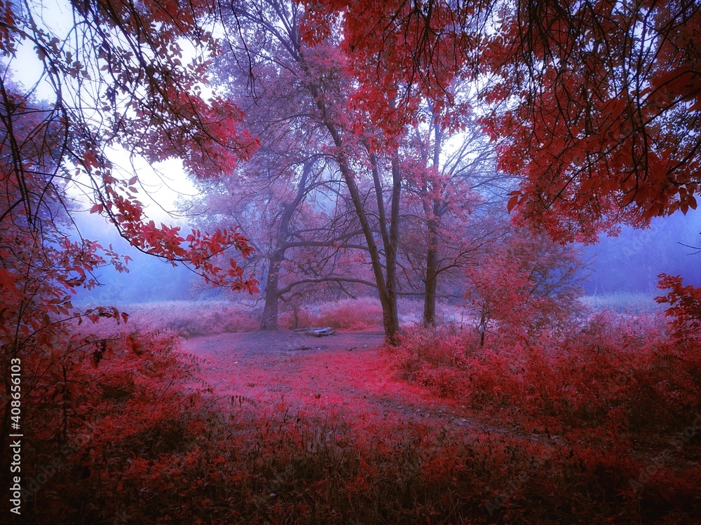 Mystic foggy forest in pink colors