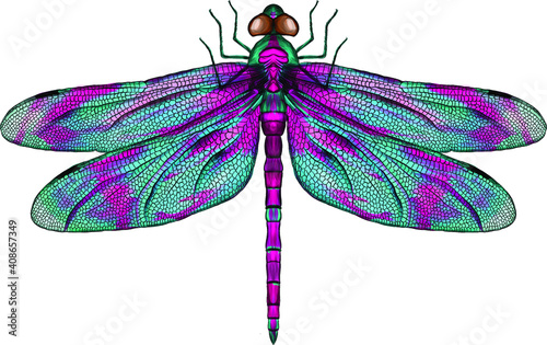purple and blue dragonfly with delicate wings vector illustration photo