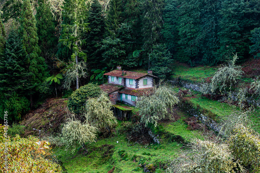 Abandoned house in Madeira in a dense forest Abandoned house in Madeira in a dense forest