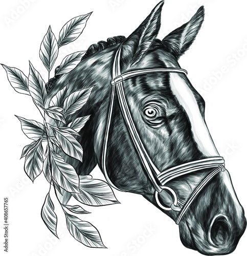 horse black and white head with  leaves vector illustration