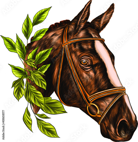 horse head with green leaves vector illustration