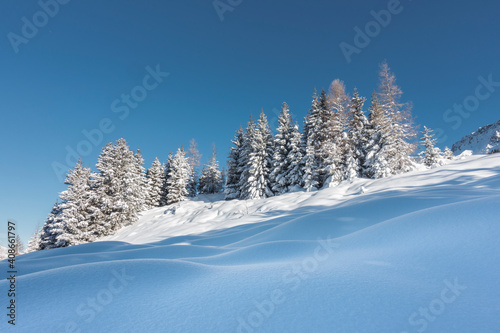 Schneefeld mit Winterwald im Hintergrund © by paul