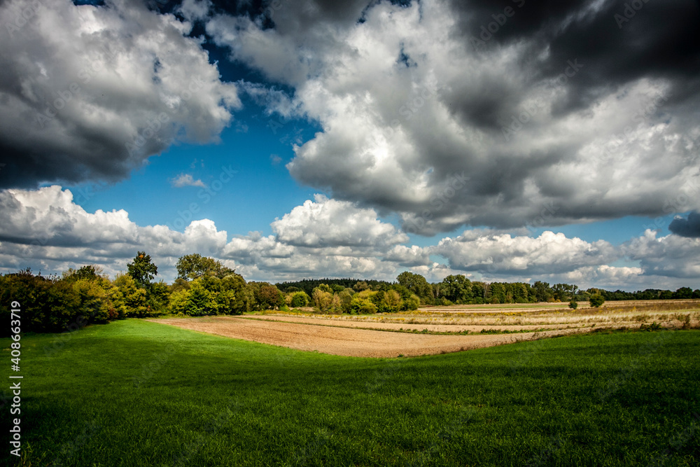 Naklejka premium field and blue sky