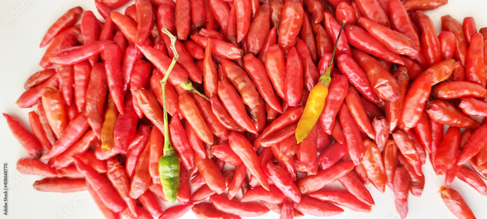 Malagueta pepper, São Paulo, Brazil Malagueta pepper, São Paulo, Brazil